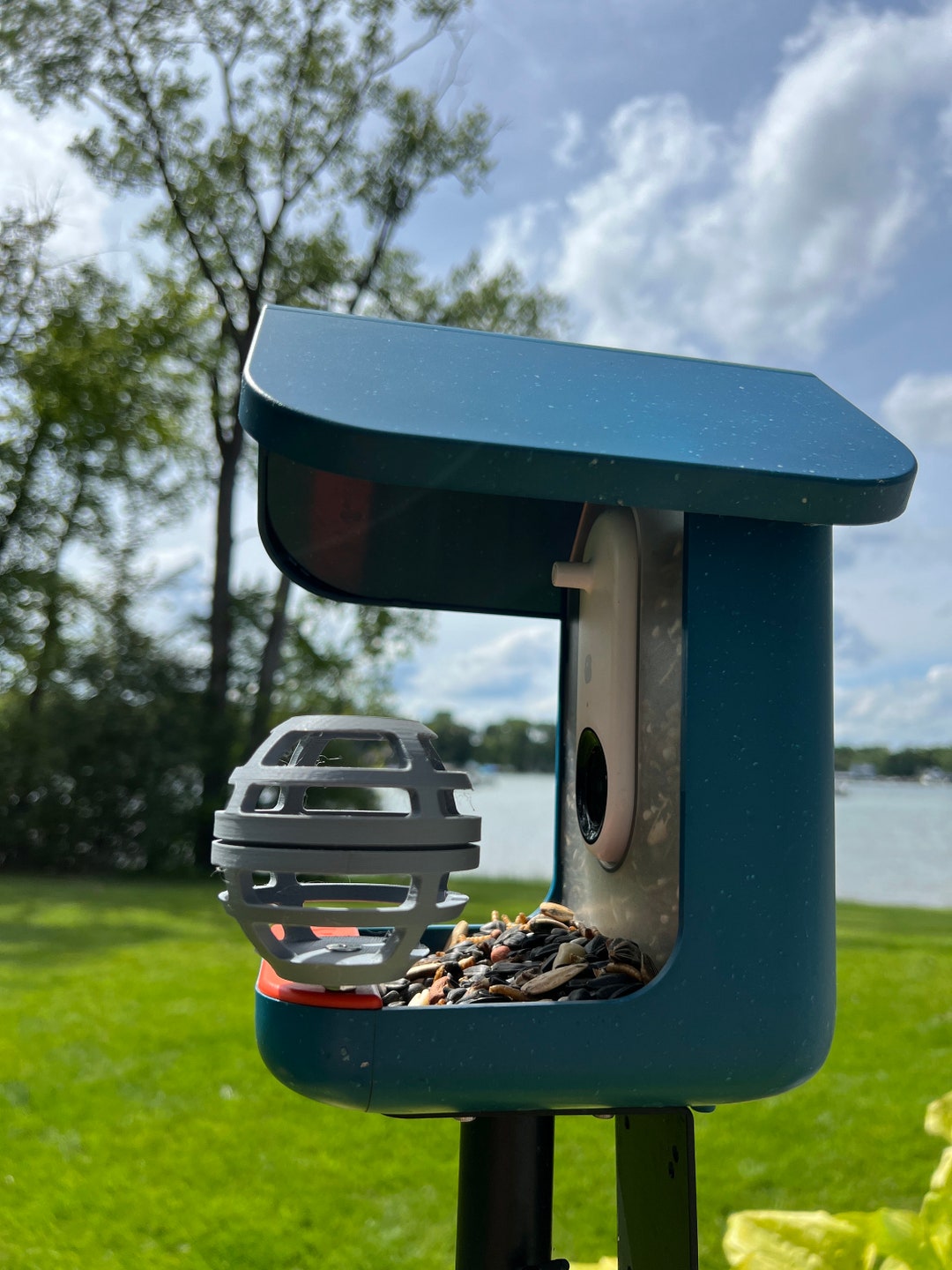 Bird Buddy Suet Ball I Etsy