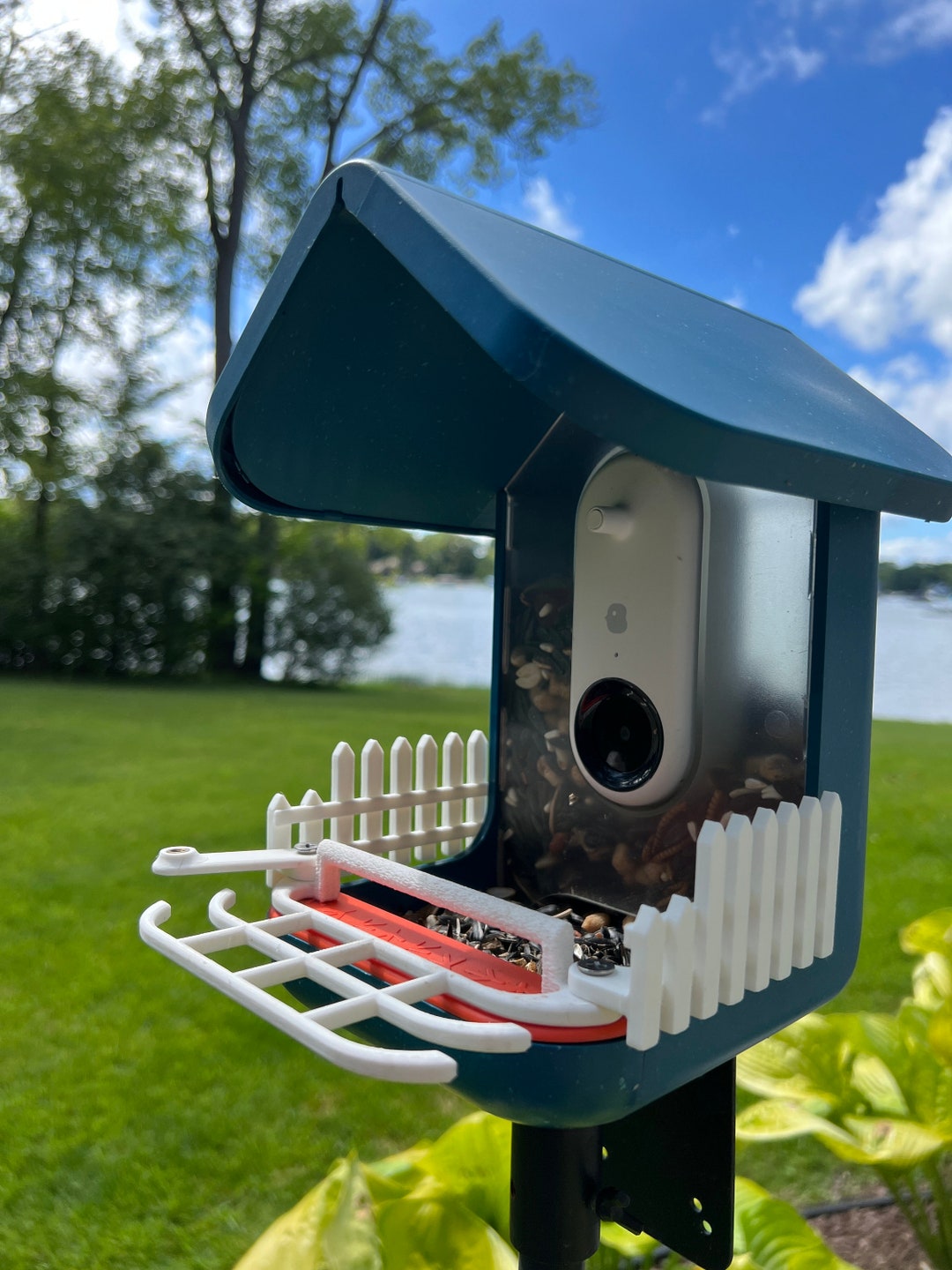 Bird Buddy Accessory Package No Suet Ball Extender Only A Etsy