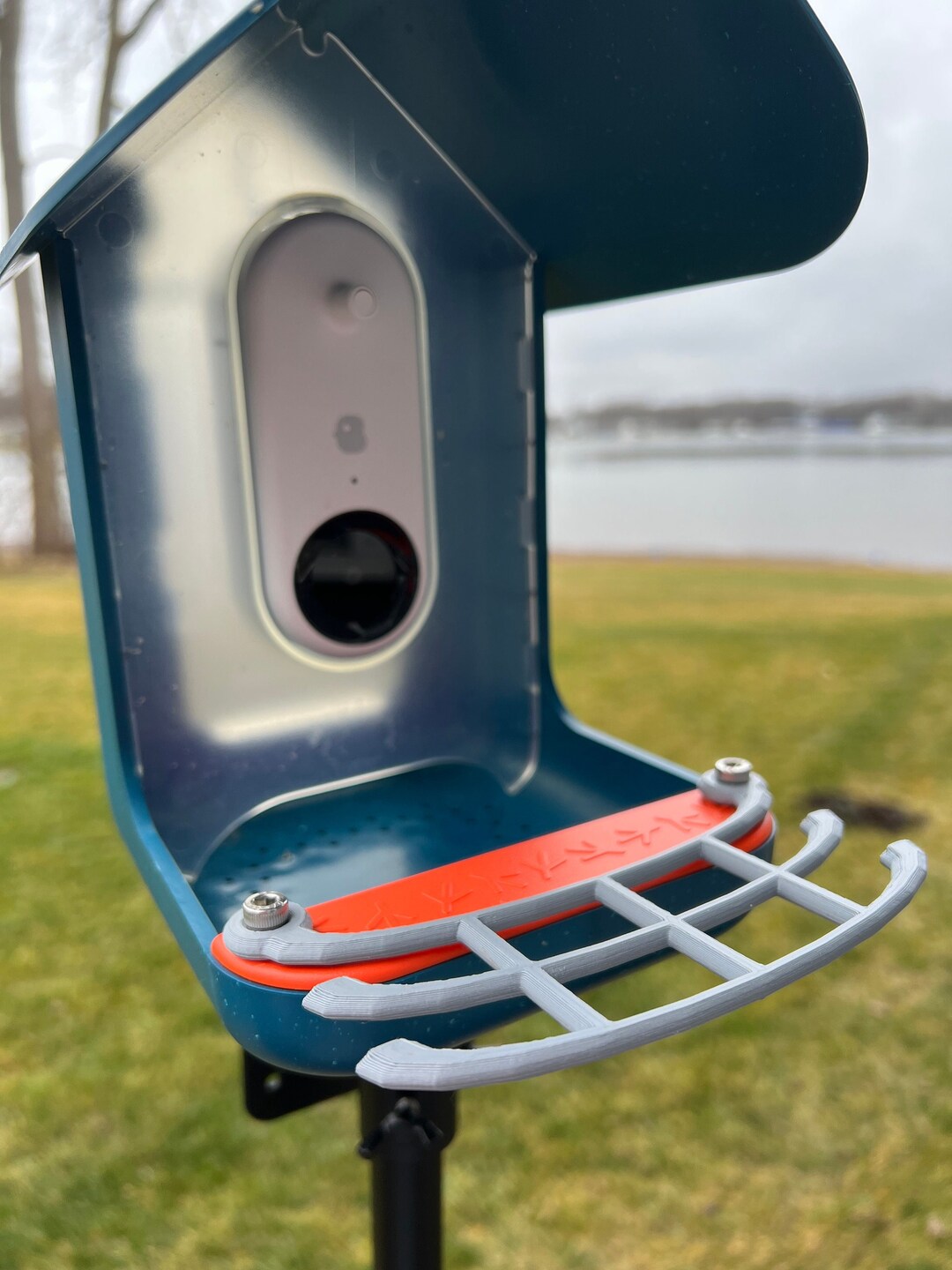 Bird Buddy Perch Curved Design in Gray Etsy