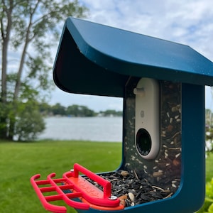 Double Perch for Bird Buddy Feeder (Red)