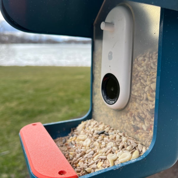 Bird Buddy Replacement Parts Etsy