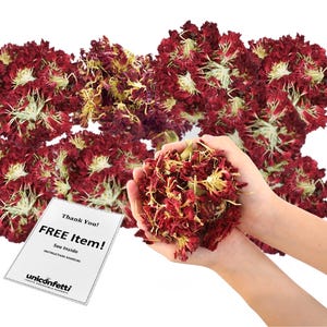 Dried Flower Carnation Biodegradable Confetti - Flower Petals for Weddings, Flower Girl Toss, Wedding Send Off, Party Table Decor | 0.5lbs