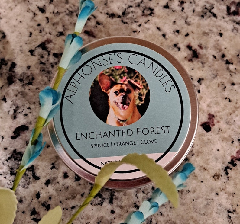 Enchanted Forest Scented Candle Soy Wax 8 Ounce and 4 Ounce Candle 8oz 4oz 4 oz