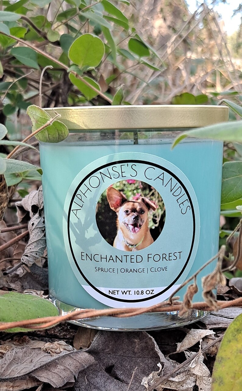 Enchanted Forest Scented Candle Soy Wax 8 Ounce and 4 Ounce Candle 8oz 4oz 8 oz