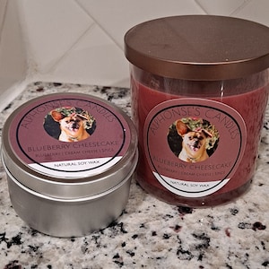 Blueberry Cheesecake Scented Candle | Soy Wax | 8 Ounce and 4 Ounce Candle (8oz) (4oz)