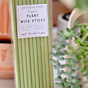 May include: A package of 10 green plant wick sticks. The label reads "The Curated Jungle" and "Plant Wick Sticks". The text on the label also says "Plants get the water they need without overwatering" and "Made for Happy Plants".