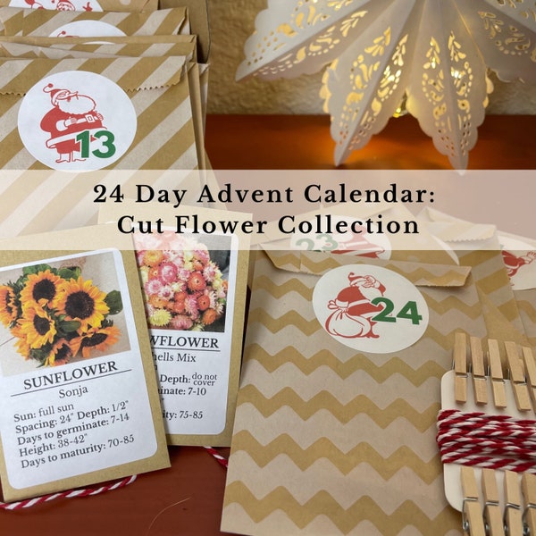 Advent Calendar For Gardeners With 24 Flower Seed Packets to Countdown to Christmas, Unique Gift For Adults, Plant Lovers, and Garden Gift