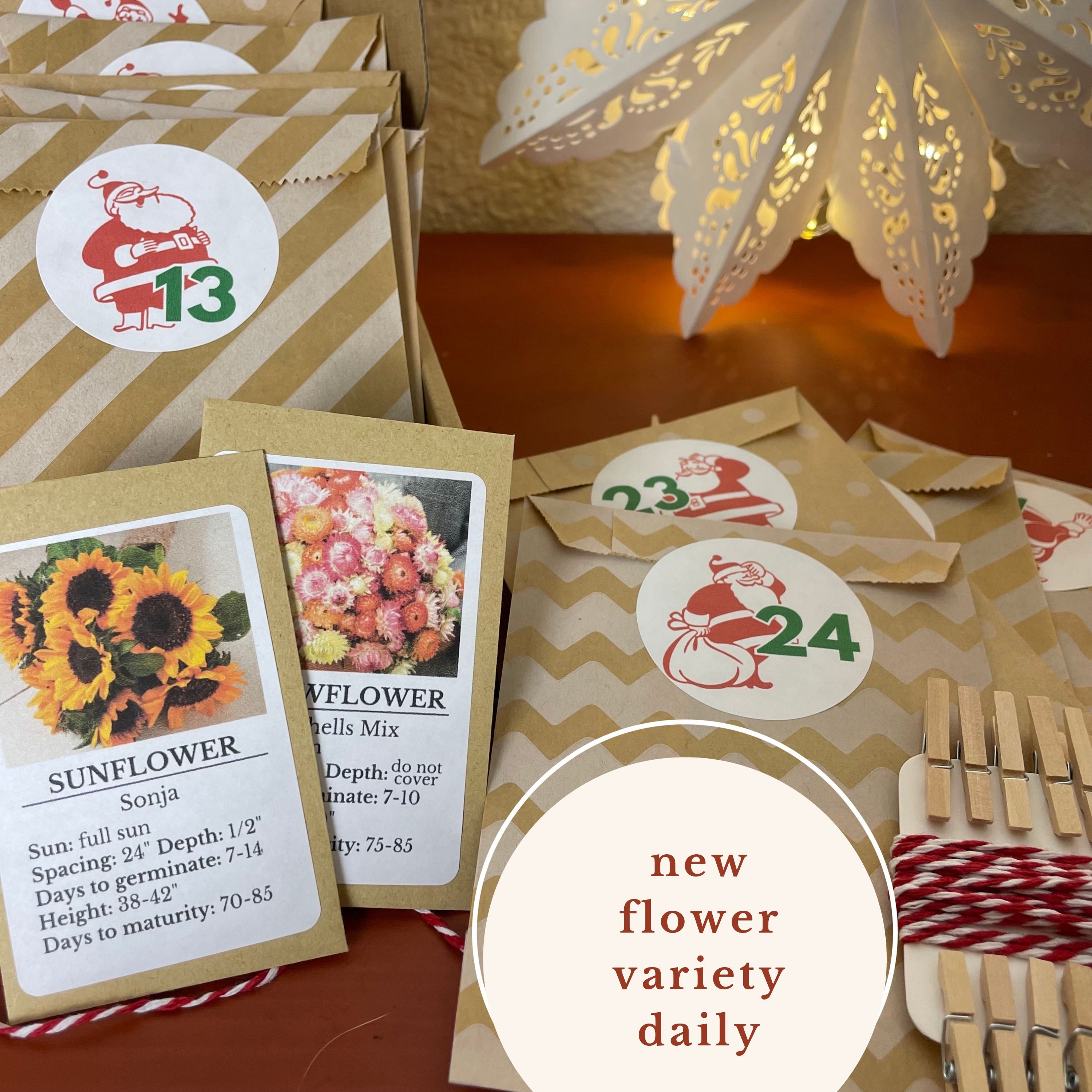 Garden Advent Calendar With 24 Flower Seed Packets to Countdown to