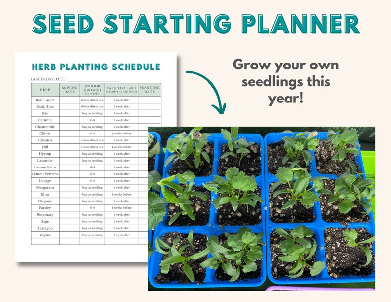 Seed Starting Planner Printable Calendar for Gardeners | Digital ...