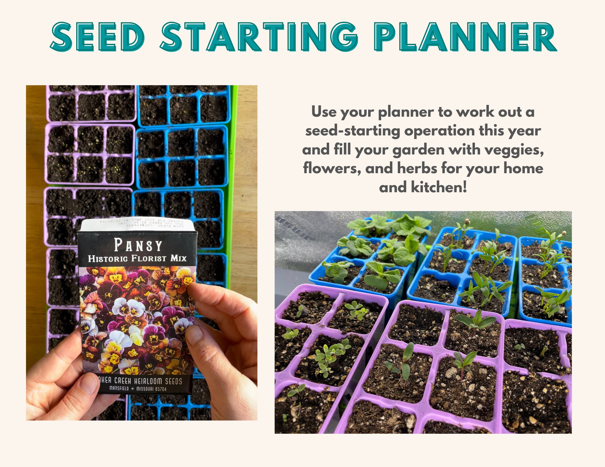 Seed Starting Planner Printable Calendar for Gardeners | Digital ...