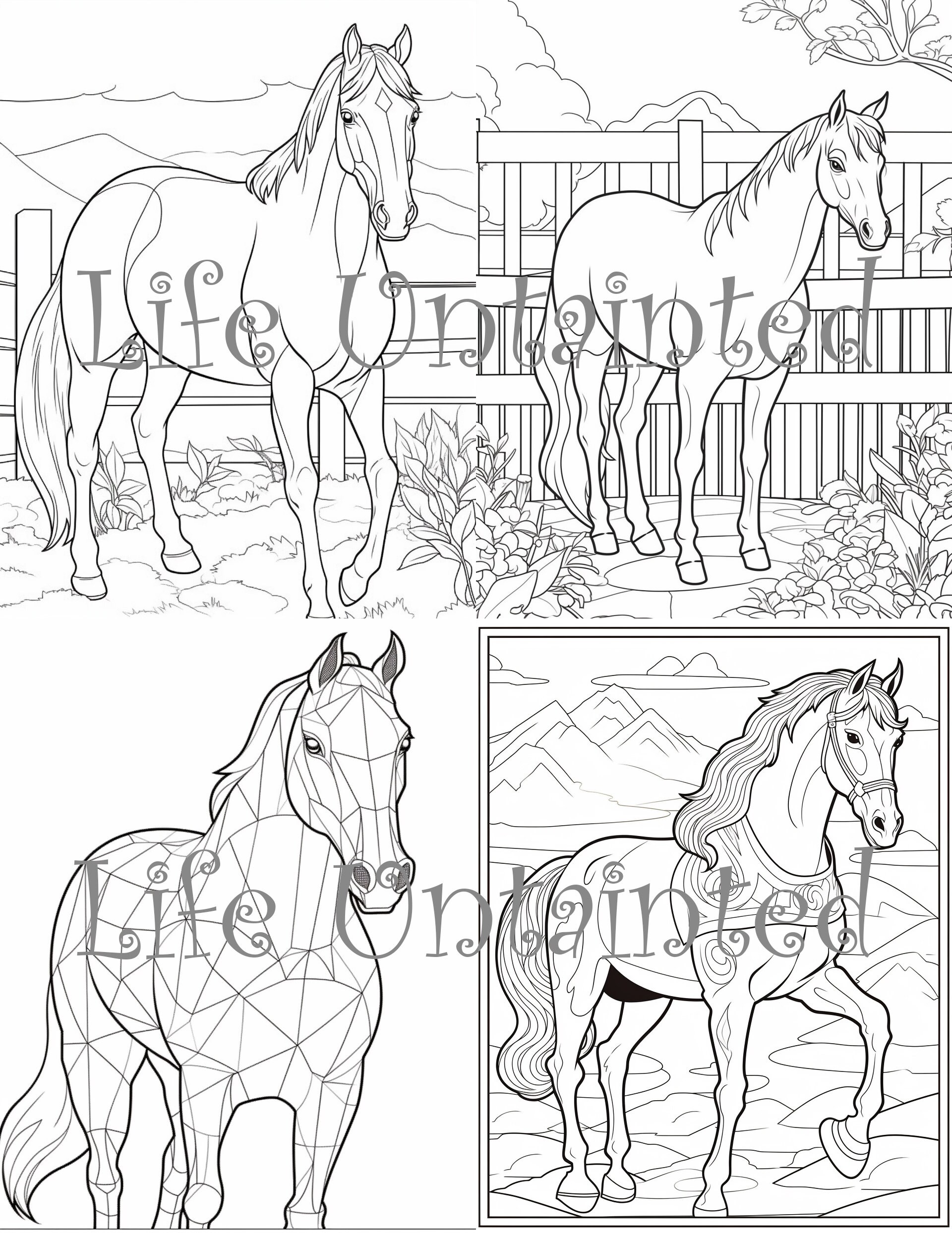 40 Mini Horsie Coloring Pages Instant Digital Download Fun for the