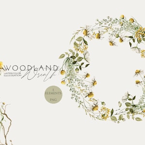 Ghirlanda di bosco Clipart floreale dell'acquerello Cornice di fiori di campo ClipArt di fiori selvatici Acquerello verde Camomilla Margherita Fiore digitale Png