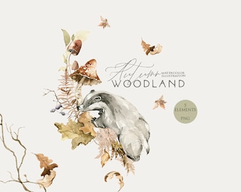 Woodland animals clipart Fall forest Watercolour woodland Watercolor baby animal Autumn woodland Badger clip art Woodland baby shower Png