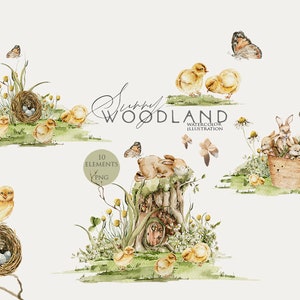 Aquarell Ostern Clipart niedliche Hase Aquarell Wald Kaninchen Notgroschen Ei Huhn Küken Hasen Osterei ClipArt Digitaler Download Png