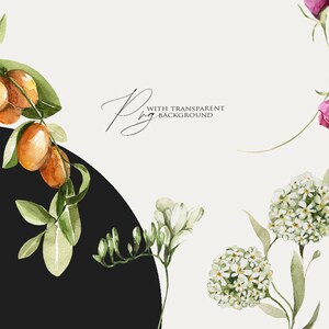 Op de afbeelding: Waterverf illustraties van verschillende bloemen en vruchten, waaronder witte bloemen, roze bloemen en oranje vruchten. De illustraties zijn op een witte achtergrond met een zwarte cirkel en de tekst "met transparante achtergrond".