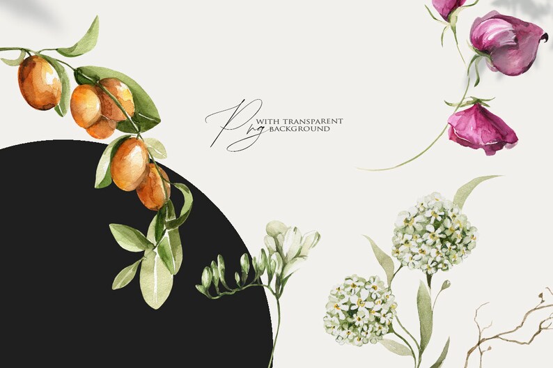 Op de afbeelding: Waterverf illustraties van verschillende bloemen en vruchten, waaronder witte bloemen, roze bloemen en oranje vruchten. De illustraties zijn op een witte achtergrond met een zwarte cirkel en de tekst "met transparante achtergrond".