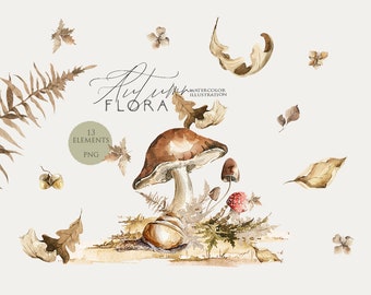 Herfstpaddestoelen clipart aquarel herfstbos aquarel herfstbladeren illustraties gedroogd blad bosvaren herfst bloemen botanische elementen