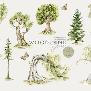 Woodland clipart Aquarel boom Boslandschap Aquarel Eiken Populier Bush Leaf clip art Natuur Groene bomen Greenery Digital Png