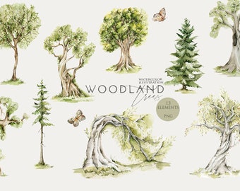 Woodland clipart Watercolor tree Forest landscape Watercolour Oak Poplar Bush Leaf clip art Nature Green trees Greenery Digital Png