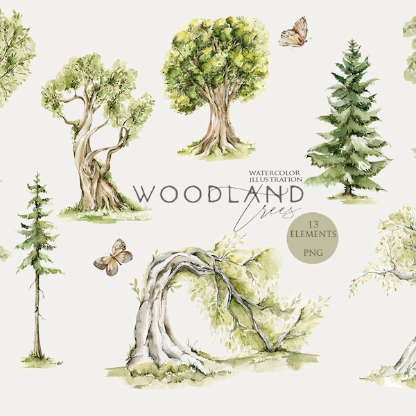 Woodland clipart Watercolor tree Forest landscape Watercolour Oak Poplar Bush Leaf clip art Nature Green trees Greenery Digital Png