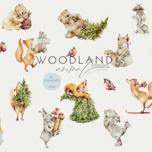 Animaux de Noël clipart animaux des bois aquarelle vacances hiver Woodland bébés pépinière décor forêt ours lapin renard clipart numérique Png