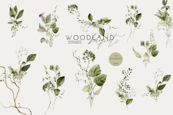 Greenery bouquet Floral clipart Watercolour field flowers Forest greenery clip art Wildflowers Green leaves Foliage digital Botanical png