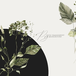 Op de afbeelding: Waterverfillustratie van groene bladeren en bloemen met een zwarte cirkel op de achtergrond. De tekst "With Transparent Background" is in cursief geschreven.