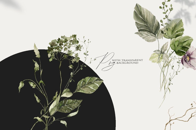 Op de afbeelding: Waterverfillustratie van groene bladeren en bloemen met een zwarte cirkel op de achtergrond. De tekst "With Transparent Background" is in cursief geschreven.
