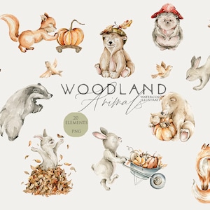 Clipart animaux de la forêt automne forêt forêt automne baby shower Décoration de chambre d'enfant lapin aquarelle ours anniversaire de la forêt aquarelle