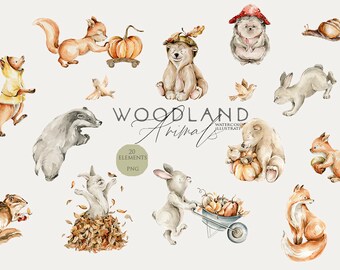 Woodland animals clipart Autumn forest animal Fall woodland Baby shower Nursery decor Watercolor bunny bear Woodland birthday Watercolour