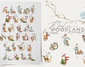 Woodland alphabet clipart Baby animals letters numbers Watercolor winter woodland Nursery font Woodland birthday party Kids room poster