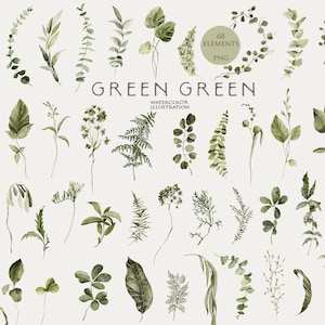 Aquarel groen clipart Groene bladeren illustraties Aquarel gebladerte Botanische bloemenelementen Bosblad png Bruiloft kaart ontwerp Digitaal