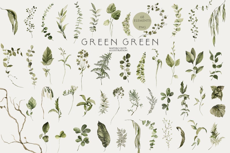Watercolor Greenery Clipart Green Leaves Clip Art Watercolour Foliage ...
