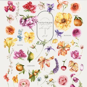 Op de afbeelding: Waterverfillustraties van verschillende bloemen, bladeren en vruchten. De illustraties zijn in verschillende kleuren, waaronder roze, geel, oranje, rood en groen. De illustraties zijn gelabeld met de namen van de planten, zoals "bloem", "bloesem", "groen", "bladeren" en "bloem".