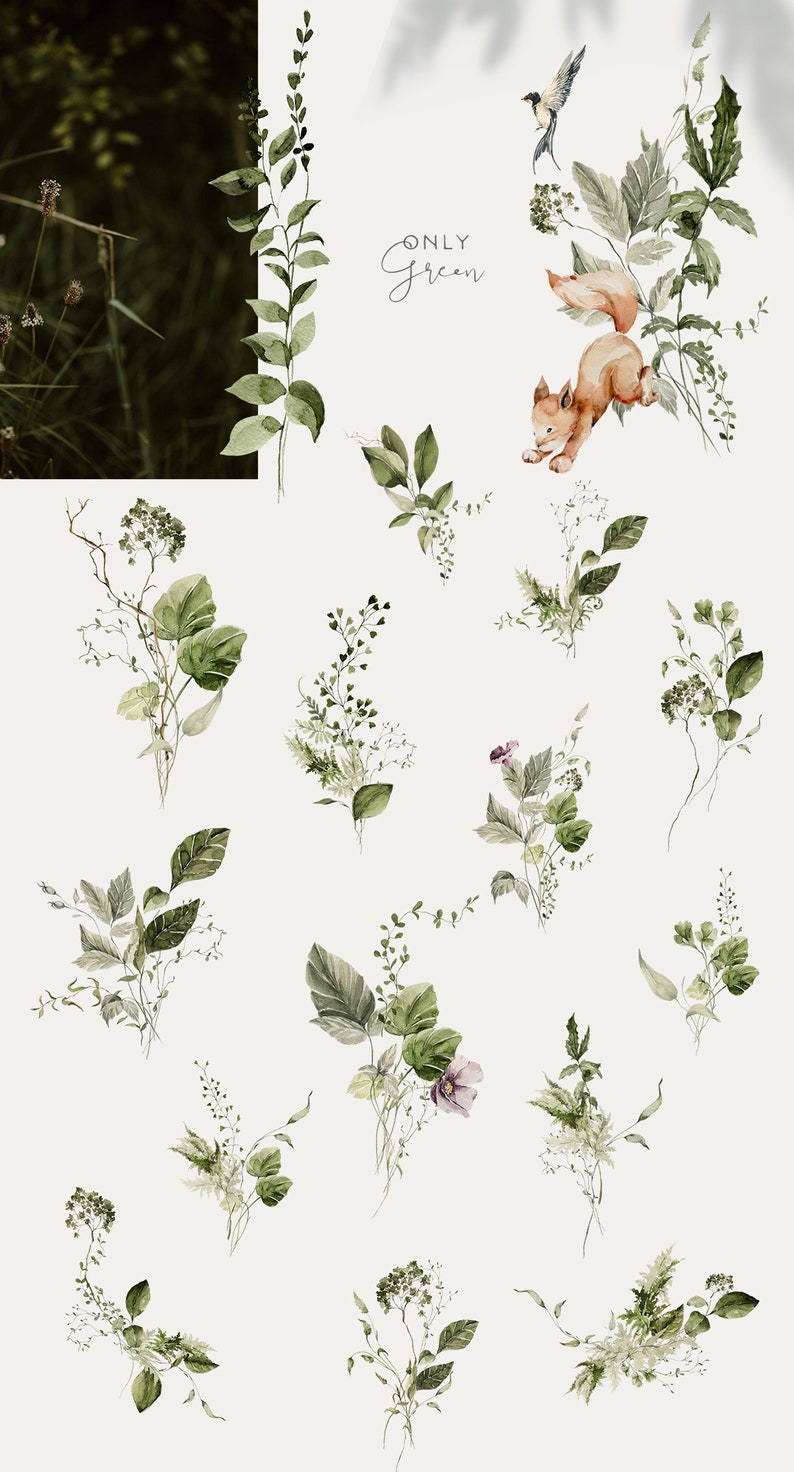 Op de afbeelding: Een verzameling aquarel illustraties van groene bladeren en takken. De illustraties zijn perfect om een vleugje natuur aan je ontwerpen toe te voegen.