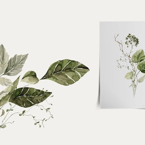 Op de afbeelding: Waterverf schilderij van groene bladeren en takken op een witte achtergrond. De bladeren zijn in verschillende tinten groen en hebben een delicate waterverf textuur.