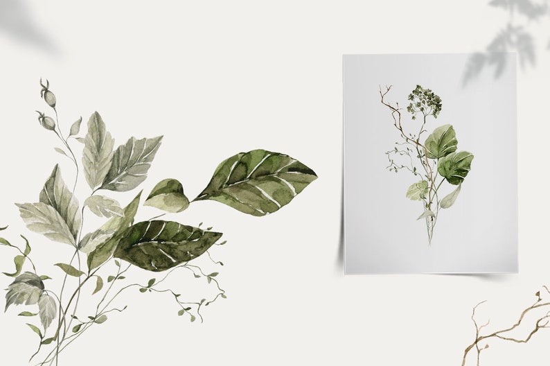 Op de afbeelding: Waterverf schilderij van groene bladeren en takken op een witte achtergrond. De bladeren zijn in verschillende tinten groen en hebben een delicate waterverf textuur.