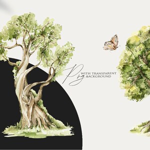 May include: Two watercolor illustrations of trees with green leaves and brown trunks. The trees are set against a white background. The text "With Transparent Background" is written in black cursive on the right side of the image.