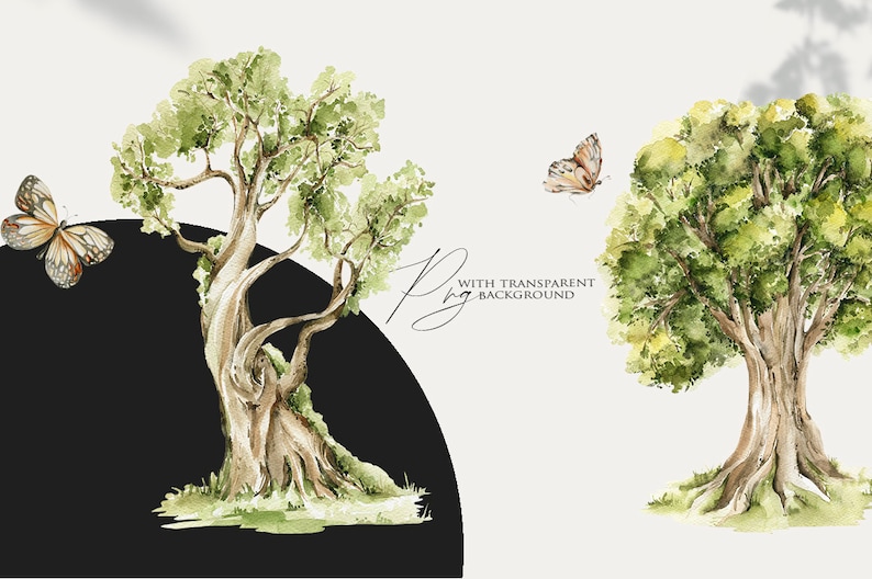 May include: Two watercolor illustrations of trees with green leaves and brown trunks. The trees are set against a white background. The text "With Transparent Background" is written in black cursive on the right side of the image.