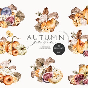 Autumn clipart Fall garden composition Watercolor pumpkins Figs fruits clip art Harvest print Cozy autumn Water color fall decor Rustic Png