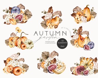 Herfst clipart Herfst tuin samenstelling Aquarel pompoenen Vijgen fruit clip art Oogst print Gezellige herfst Water kleur herfst decor Rustiek Png