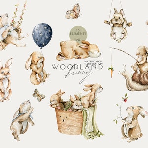 Wald Tiere süsser Häschen Clipart