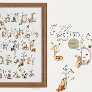 Alfabeto da floresta Сute animais letras Raposa urso coelho clipart Números da floresta Aquarela floresta Fonte do berçário Chá de bebê da floresta