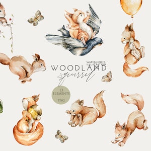 Animaux de la forêt écureuil clipart aquarelle forêt animal bébé fille clip art Woodland pépinière décor bébé douche inviter mignon écureuils Png