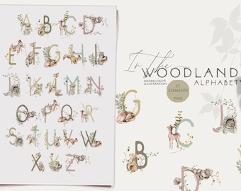 Woodland alphabet clipart Baby animals Woodland letters numbers Watercolor woodland babies Nursery font Woodland birthday party Kids poster