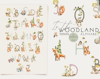 Woodland animals Baby alphabet clipart Woodland letters numbers Baby girl clip art Nursery decor Woodland birthday party Kids poster Png