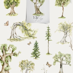 May include: Watercolor illustrations of various trees, including oak, pine, and willow, with butterflies. The trees are painted in shades of green, brown, and white. The butterflies are painted in shades of brown and orange.