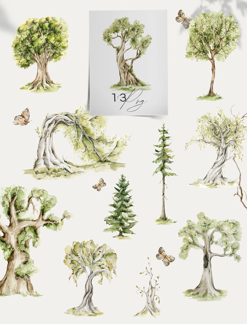 May include: Watercolor illustrations of various trees, including oak, pine, and willow, with butterflies. The trees are painted in shades of green, brown, and white. The butterflies are painted in shades of brown and orange.