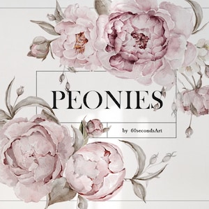Aquarell Blumen Pfingstrose Blumen Clipart Aquarell Pfingstrosen Pink Blumenkranz Digitales Papier Pack Hochzeitskarte Design Digitale Flora Png
