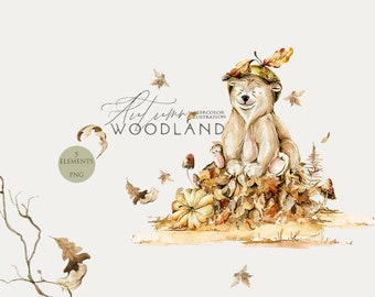 Baby bear clipart Watercolor woodland animals Autumn leaves Fall forest Baby boy clip art Woodland baby shower Watercolour bear Nursery Png